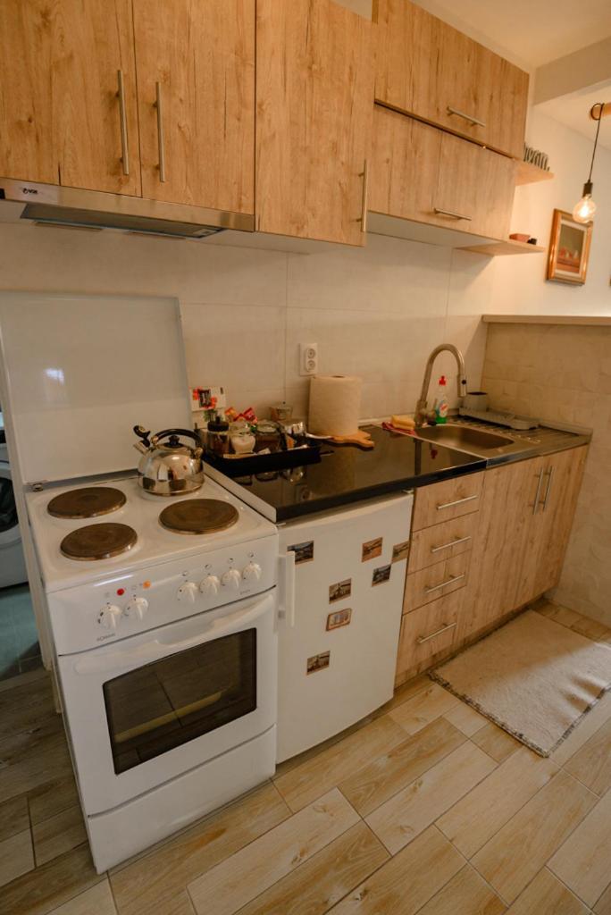 Apartman Sen'S Leskovac  Zewnętrze zdjęcie