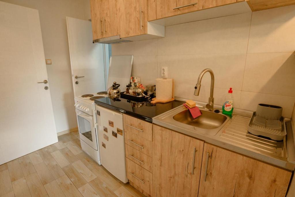 Apartman Sen'S Leskovac  Zewnętrze zdjęcie